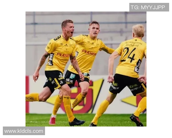 哈马比与埃夫斯堡历史交锋记录分析及战绩回顾